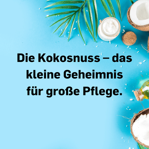 Die Kraft der Kokosnuss: Naturkosmetik, die überzeugt