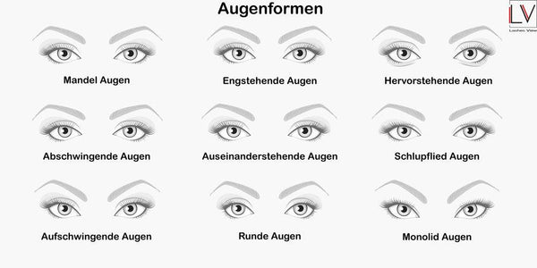 LashesView I Wimpernguide